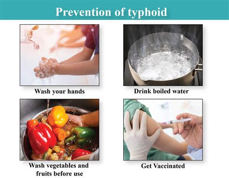 Typhoid Relief: Safe & Healthy Fruit Choices