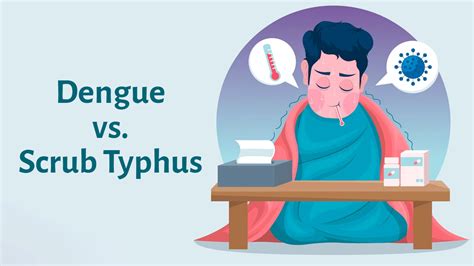 Typhus vs. Dengue: Spot the Difference Fast.