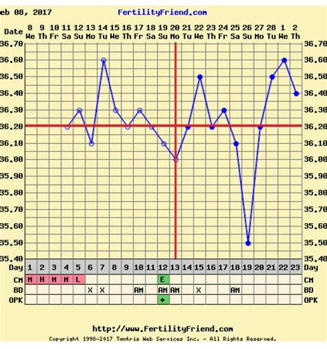 Typical Basal Temperature Chart