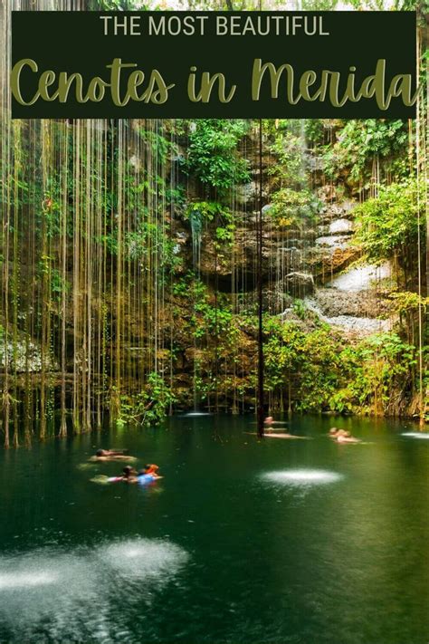 Typical Cenote Visit