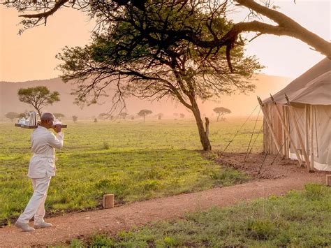 Typical Day on Safari