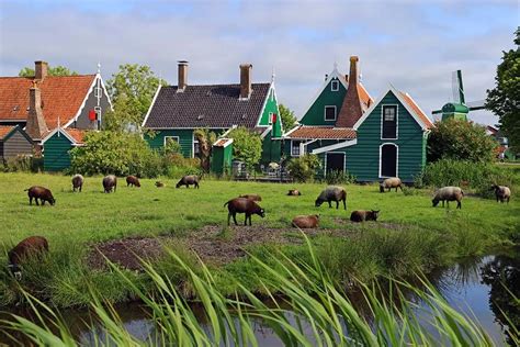Typical Dutch Countryside