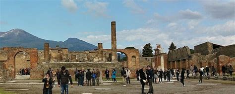 Typical Guided Tour Experience