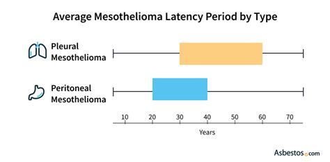 Typical Mesothelioma Time To Develop & Average Latency