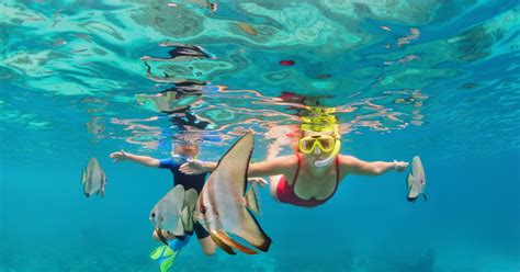 Typical Snorkeling Day