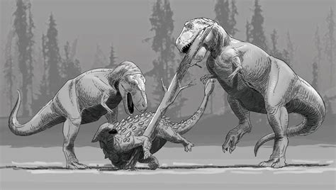 Behavior and Social Structure of Tyrannosaurus Rex