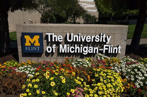 U Of M Flint Course Catalog