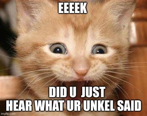 U Said Cat Meme