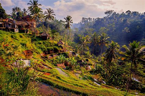 Ubud Bali Tourism