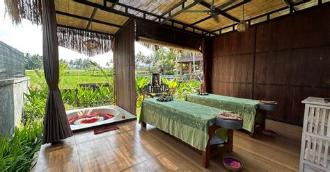 Ubud Spa Review: Rice Paddy Views and Blissful Treatments
