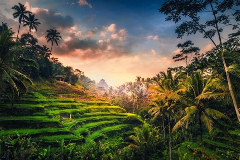 Ubud Things To Do