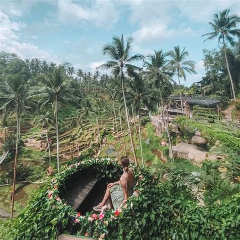 Ubud Tour Options