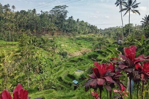 Ubud Tour Selection