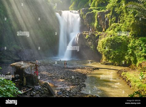 Ubud Waterfall Landscape