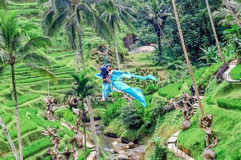 Ubud Zip Line View
