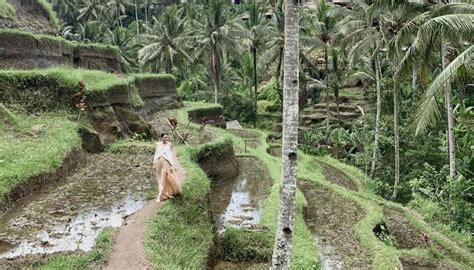 Ubud tour flexibility