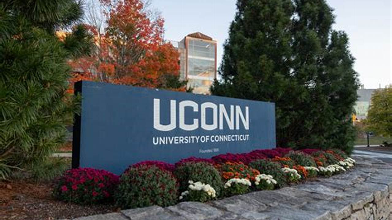 Uconn Courses Fall 2024 Spring