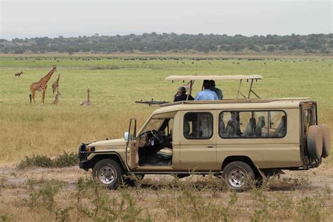 Uganda Game Drive