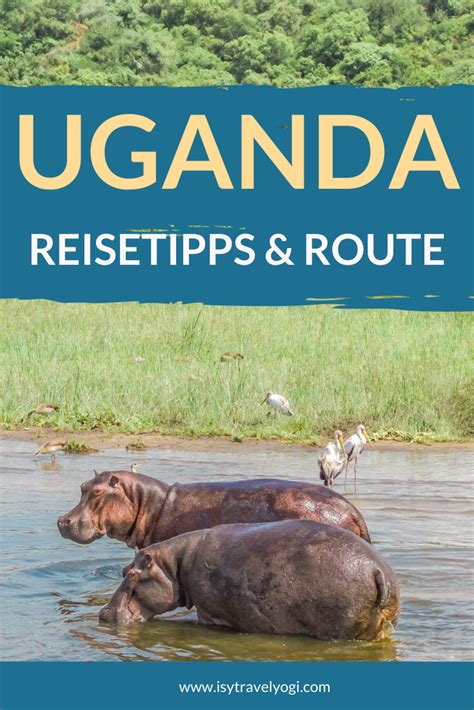 Uganda Safari Highlights