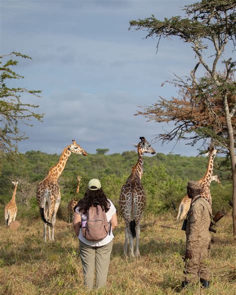 Uganda Walking Safari