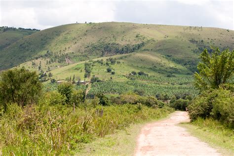 Ugandan Landscape