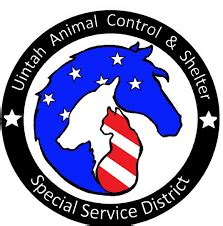 Uintah County Animal Shelter Vernal Ut
