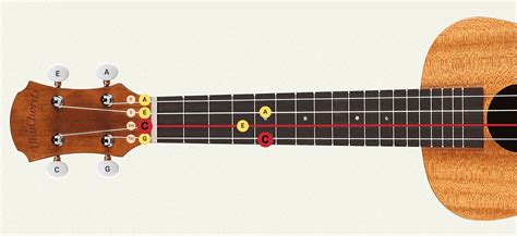 Ukulele Low G Tuning: Guide to Enriching Your Melodies