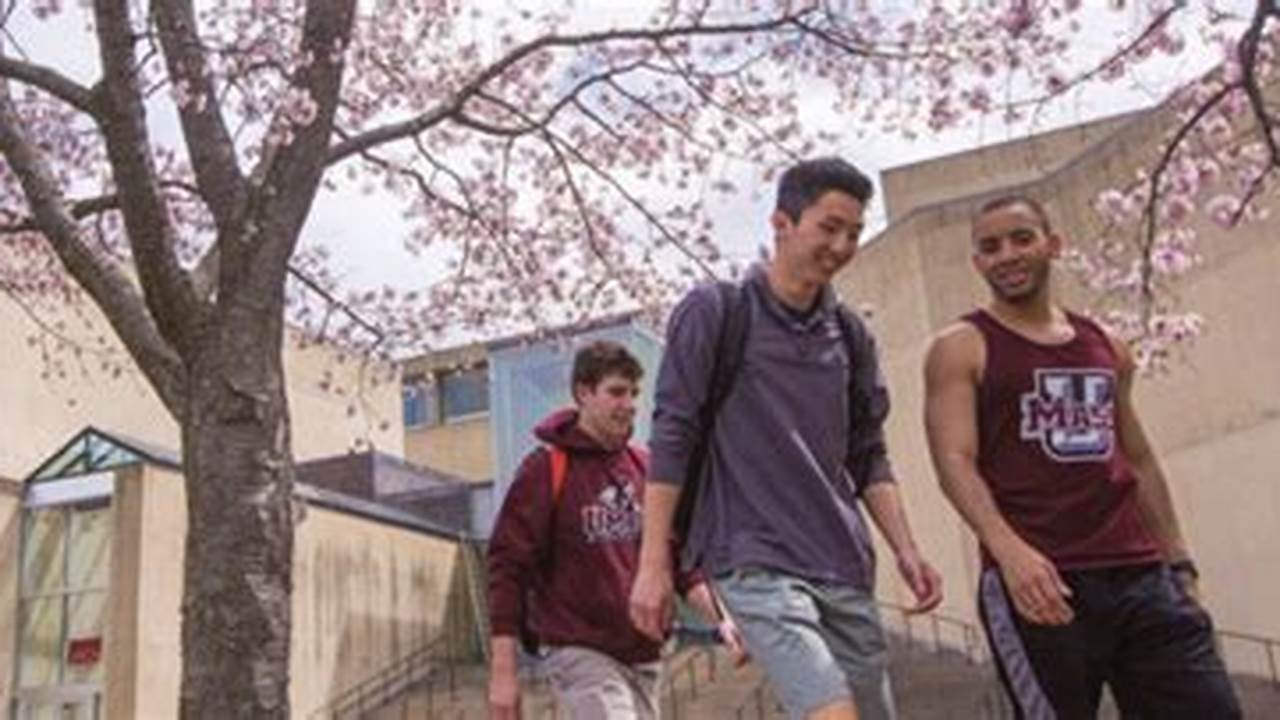 Umass Amherst Online Classes Spring 2025