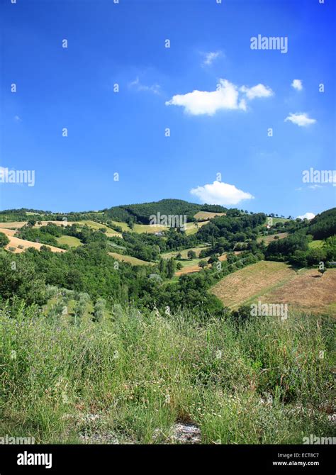Umbrian Landscape