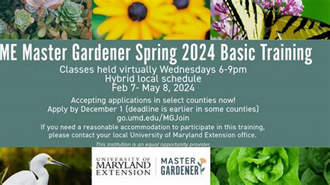 Umd Online Classes Spring 2025