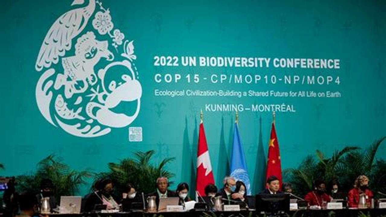 Un Biodiversity Conference 2024