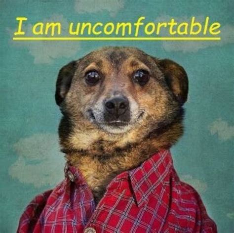 Uncomfortable Dog Meme