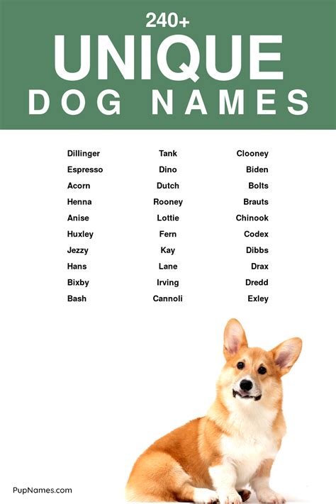 Uncommon Dog Names