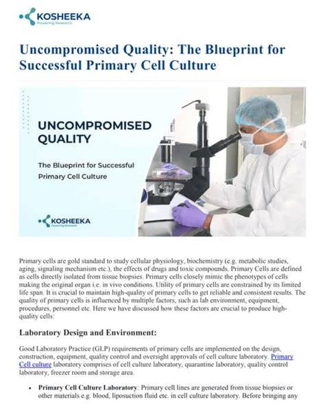 Uncompromised