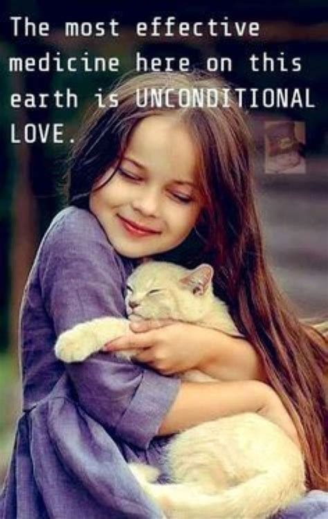 Cat showing affection
