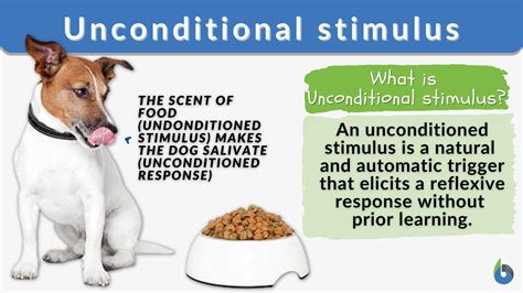 Unconditioned Stimulus Example