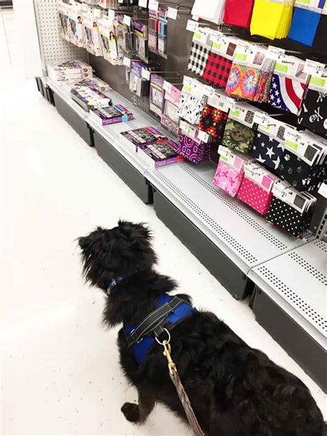 44 DogFriendly Stores That Allow You To Shop With Your Pet Sarah Marotta