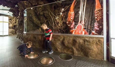 Underground Adventure