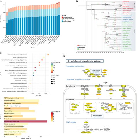 Underlying Issues Contributing to Flight
