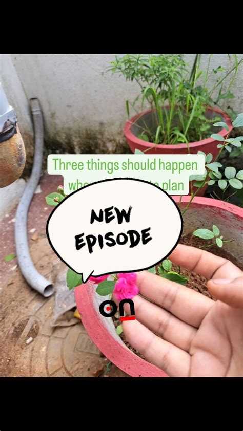 Understand your environment