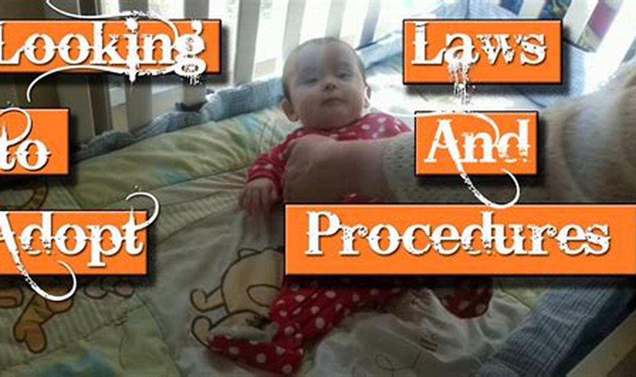 Understanding adoption laws and procedures