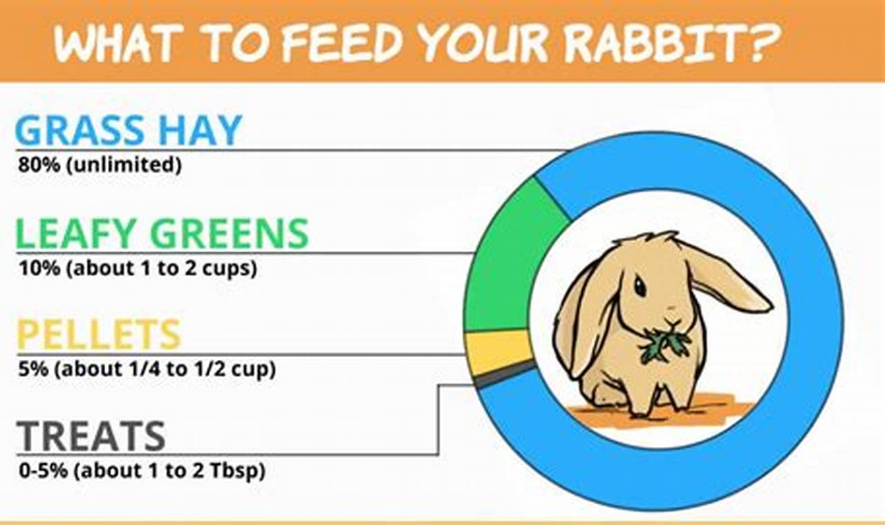 Understanding the nutritional needs of pet rabbits