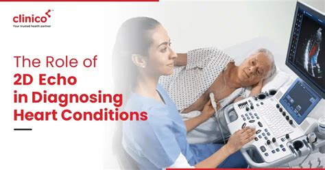Understanding 2D Echocardiograms