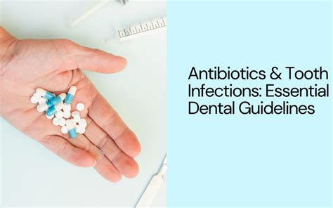 Understanding Antibiotics for Tooth Infections