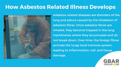 Understanding Asbestos-Related Health Risks