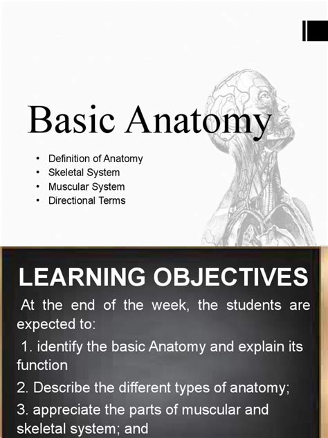 Understanding