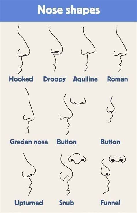 Understanding