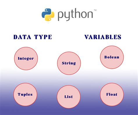 Understanding Basic Python Concepts
