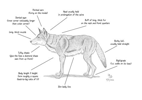 Understanding