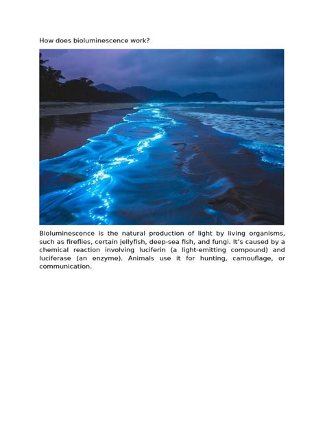 Understanding Bioluminescence